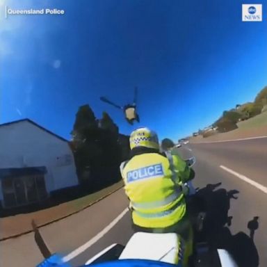 VIDEO: Magpie swoops down on police officer’s helmet in Australia