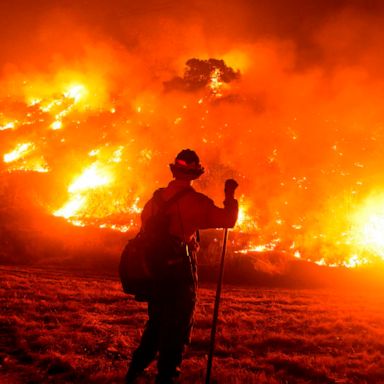 VIDEO: Smoke covers US, India battles COVID-19, saving koalas: World in Photos, Sept. 17