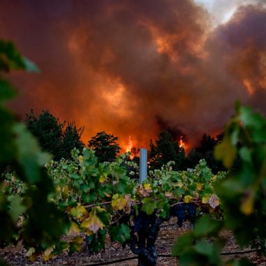 VIDEO: California fires, camel racing, coronavirus tribute; The World in Photos, Sept. 28