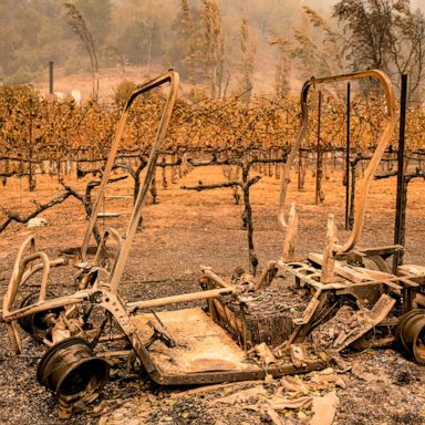 VIDEO: Napa Valley burns, Pope prays, the French Open continues: World in Photos, Oct. 1