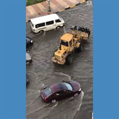 A wheel loader helped residents across a flooded street in Alexandria, Egypt.