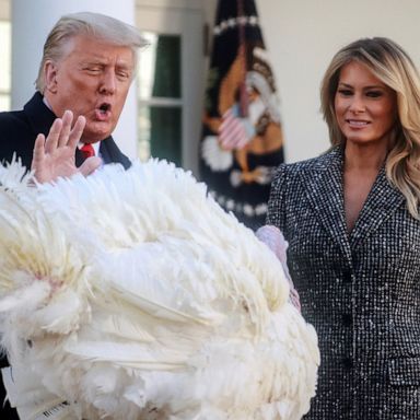 VIDEO: Turkey pardoned, panda diners and holiday travel: World in Photos, Nov. 25