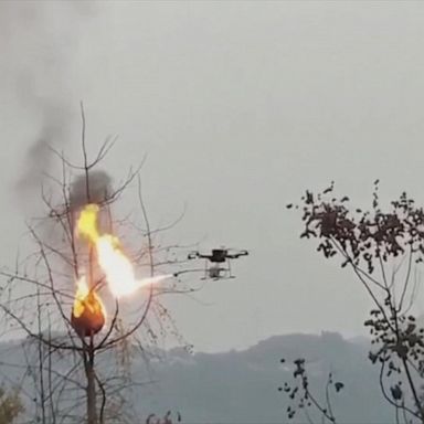 VIDEO: Flamethrower drone torches wasp nests in China