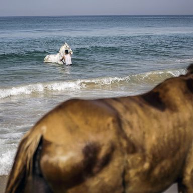 VIDEO: Horses, the 1st US COVID-19 vaccine and fashion: World in Photos, Dec. 14