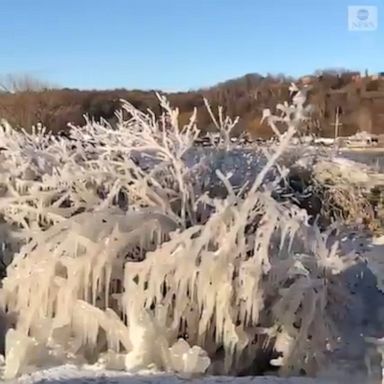 A spectacular frozen landscape formed along Lake Ontario after temperatures dropped in the region. 