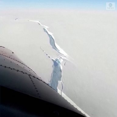 An iceberg bigger than New York City broke off an ice shelf in Antarctica.