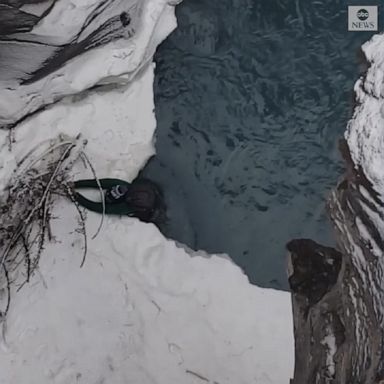 A man swam to safety after falling into the rushing waters at Athabasca Falls in Canada.