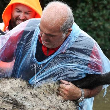 VIDEO: Australia flood, Kate and Will, and a mass shooting: World in Photos, March 23