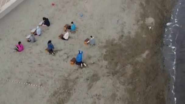 College Sex Public Beach - Education News & Videos - ABC News