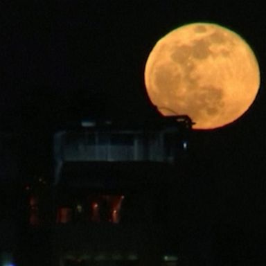 Here's how the first supermoon of 2021 looked from cities around the world.