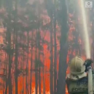 Over 200 firefighters battled forest flames in the Tyumen region.