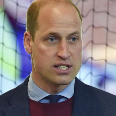 VIDEO: Princes Harry and William speak out about controversial interview