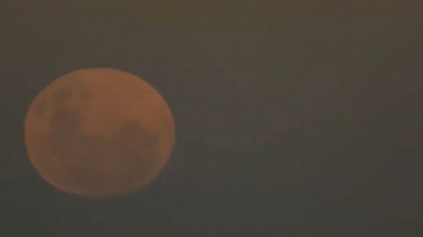 Video Supermoon And Lunar Eclipse Coincide To Create Super Flower Blood Moon Abc News