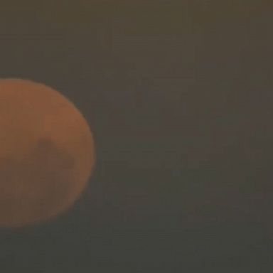 A "super flower blood moon" was captured in timelapse footage over the skyline in Newcastle, New South Wales.