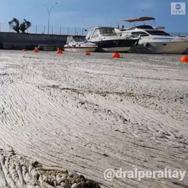 PHOTO: Sewage-filled "sea snot" is covering an entire yacht marina in Bursa, Turkey.