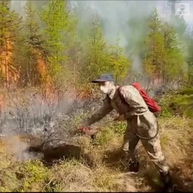 Russian emergency workers fought wildfires burning in Siberia and the Far East. 