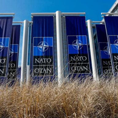 NATO, or the North Atlantic Treaty Organization, is a security alliance established in 1949 to counter soviet aggression in Europe during the Cold War.