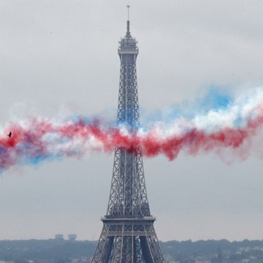 VIDEO: Bastille Day, protests in Haiti and stranded orca calf: World in Photos, July 14