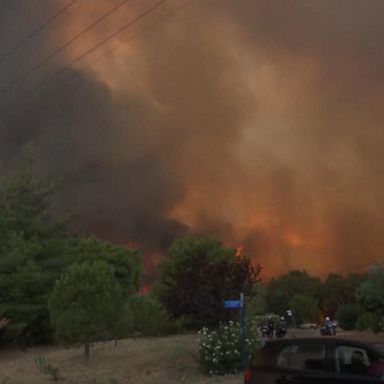 VIDEO: Wildfires destroy homes, force evacuations in Greece