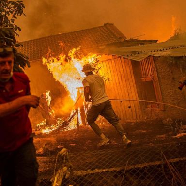 VIDEO: Greece wildfires, Florida mask protest, Scottish twins: Week in Photos