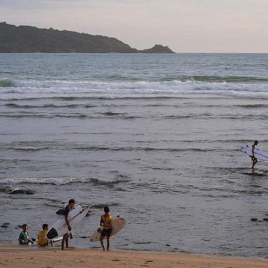 VIDEO: COVID shut down tourism in Thailand, but nature is healing