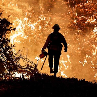 VIDEO: Wildfires, COVID-19 and Kathy Hochul: World in Photos, Aug. 24