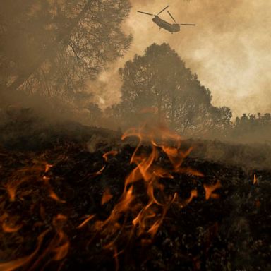 VIDEO: French Fire, voting rights act, and the Paralympic Games: World in Photos, Aug. 25