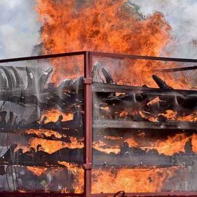 VIDEO: Rhino horns, Haitians at US border and Ganesh Chaturthi: World in Photos, Sept. 22