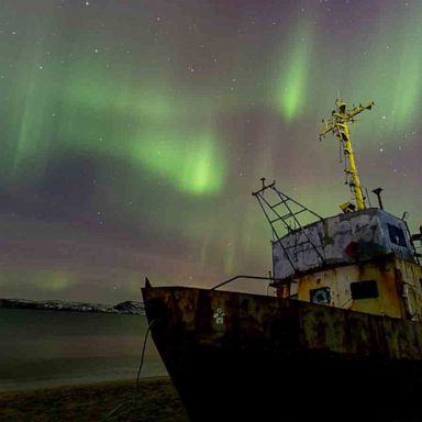 VIDEO: Northern lights, COP26 and animals blessed: World in Photos, Nov. 2