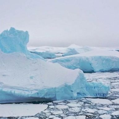 VIDEO: Under the ice in Antarctica