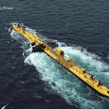 VIDEO: Is tidal power a reliable form of clean energy? 