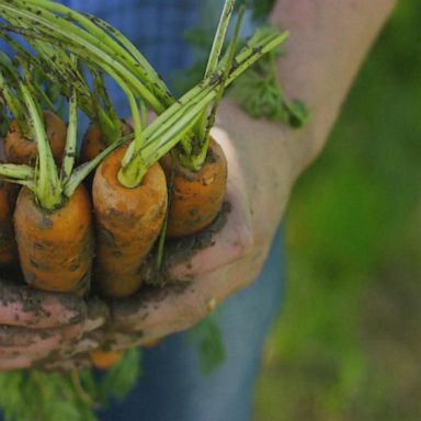 VIDEO: Your food waste and how it impacts climate change