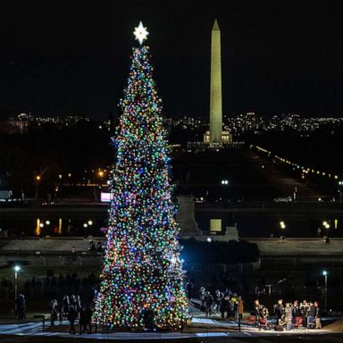 VIDEO: Tree lighting, World Aids Day, baby elephant rescue: World in Photos, Dec. 2