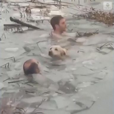 Police in Spain saved a dog from a frigid reservoir as a cold front hit the country.