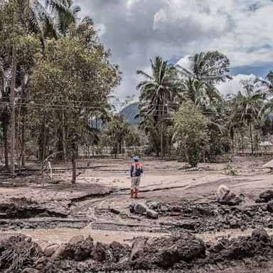 VIDEO: Indonesian volcano, a skiing Grinch, Antarctic eclipse: Week in Photos