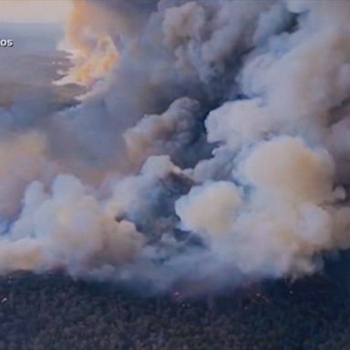 VIDEO: ‘Australia is ground zero for climate change’: ‘Burning’ documentary director