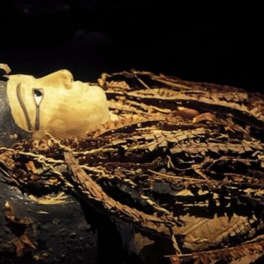 The mummy had remained untouched since it was discovered in 1881.