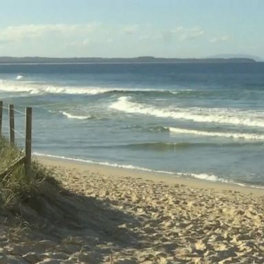 A man was killed in a shark attack while he was surfing off the coast of Australia on Tuesday morning.