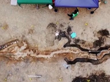 WATCH:  Drone footage reveals sea dragon fossil found in UK