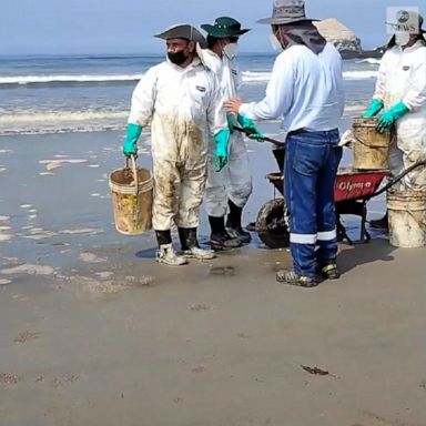 Crews continued cleanup efforts on the shore north of Lima after an oil spill caused by waves triggered by an underwater volcanic eruption near Tonga.