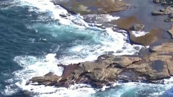 Video Sydney’s 1st fatal shark attack in decades - ABC News