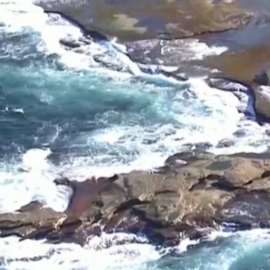 A swimmer died after suffering "catastrophic injuries" from a shark, marking Sydney's first fatal shark attack in almost 60 years.