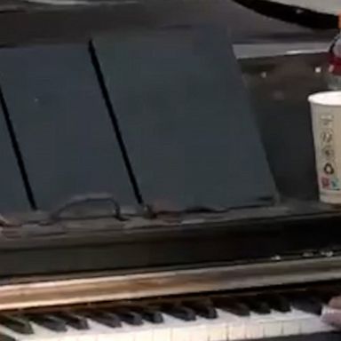 A man with a peace sign drawn on his piano plays as Ukrainian refugees stream across the border.