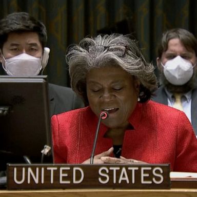 VIDEO: UN Security Council holds emergency meeting on Russia's attack on nuclear power plant