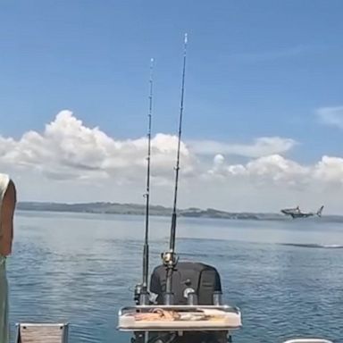 A family on a fishing trip got a fishy fright when a great white shark leaped out of the water behind their boat.