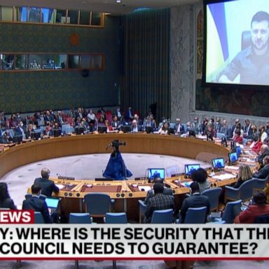 Ukrainian President Volodymyr Zelenskyy spoke to members of the UN Security Council amid international outrage of alleged atrocities in Bucha, Ukraine. 