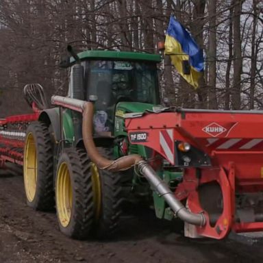 VIDEO: Ukraine’s farmers persevere as war threatens global food supply