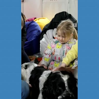 Children gather around to pet pups as part of dog therapy sessions in Ukraine, where canines help children adjust to a life after war.