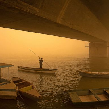 VIDEO: Iraqi dust storm, LA brushfire and COVID-19 in New York: World in Photos, May 18