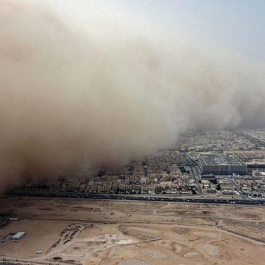 VIDEO: Dust storm, Biden visit, Chelsea Flower Show: World in Photos, May 23